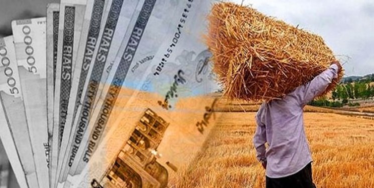 همه مطالبات گندمکاران استان زنجان پرداخت شد