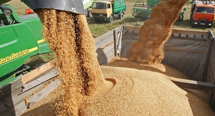 خروج گندم از استان زنجان در فصل خرید ممنوع شد