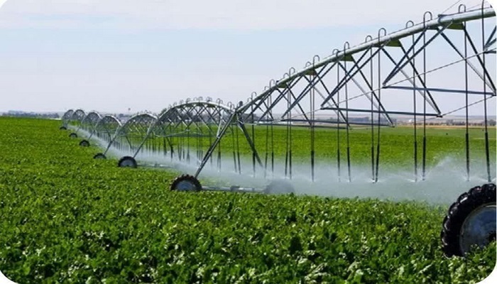 توسعه سامانه‌های نوین آبیاری در سطح ۴۲۰ هکتار از زمین های کشاورزی زنجان