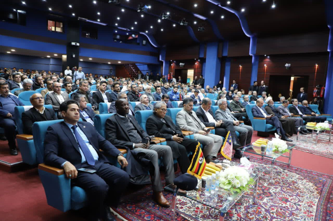 صنعت زیتون نیازمند نگاه نو در کاشت و فرآوری 